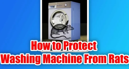 how to protect washing machine from rats